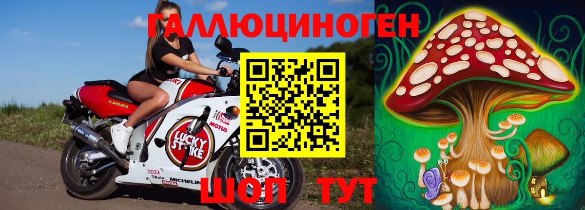 Псилоцибиновые грибы Cubensis  Вход с VPN  Балтийск  Галлюциногенные грибы ЛСД 