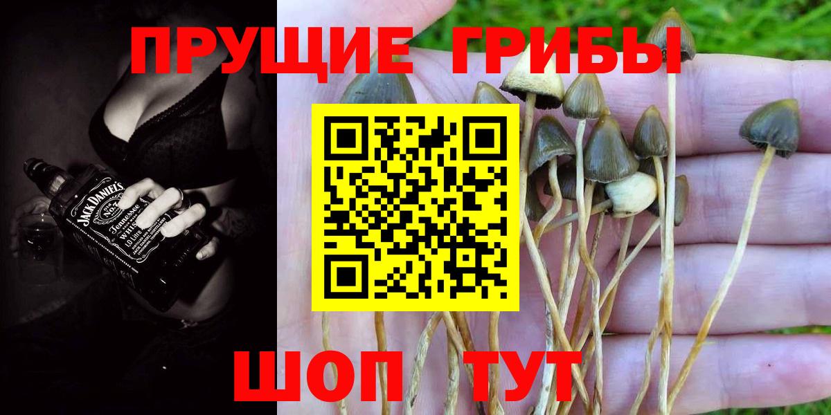 Галлюциногенные грибы MAGIC MUSHROOMS Балтийск